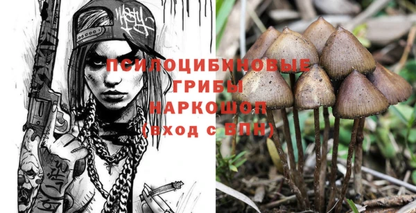 твердый Володарск