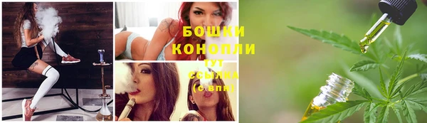 твердый Володарск