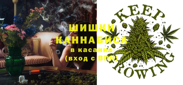 твердый Володарск