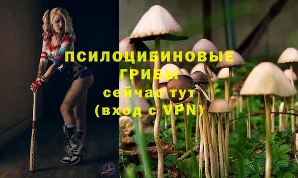 стаф Волосово