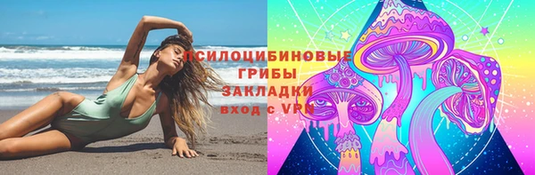 крисы Волоколамск