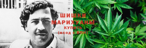 стаф Волосово