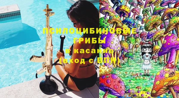 стаф Волосово