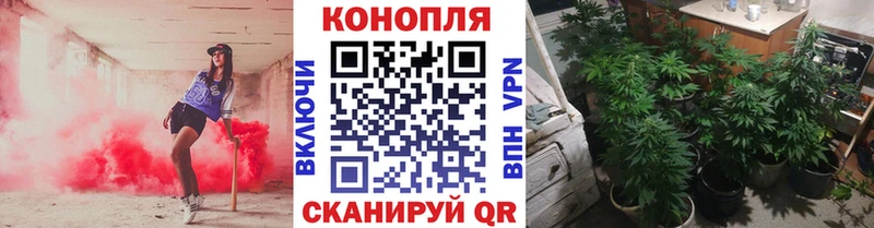 Каннабис VHQ  Каргат 